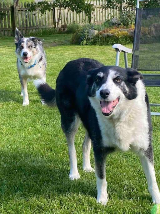 Highland Rural Farm Retreat,Loch Ness, Nc500, Beauly Villa Inverness Ngoại thất bức ảnh